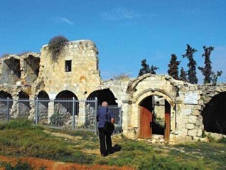 צילום: דובי זכאי צילום: דובי זכאי