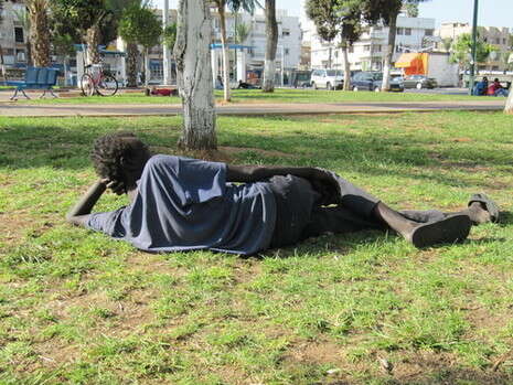 �����: ���� ����