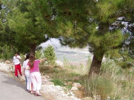 �����: ���� �������