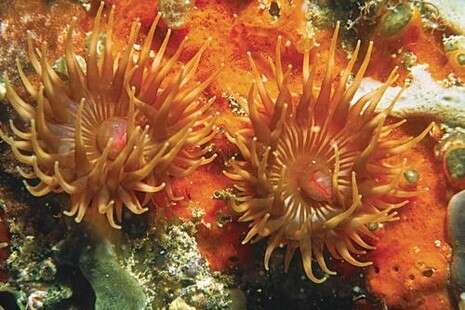 צילום: רמי קליין צילום: רמי קליין