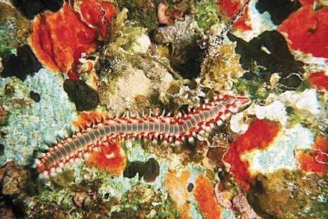 צילום: רמי קליין צילום: רמי קליין