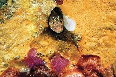 צילום: רמי קליין צילום: רמי קליין