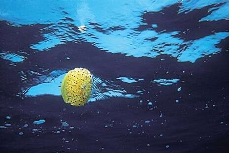 צילום: רמי קליין צילום: רמי קליין