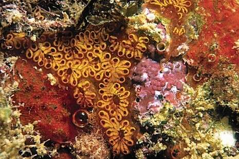 צילום: רמי קליין צילום: רמי קליין