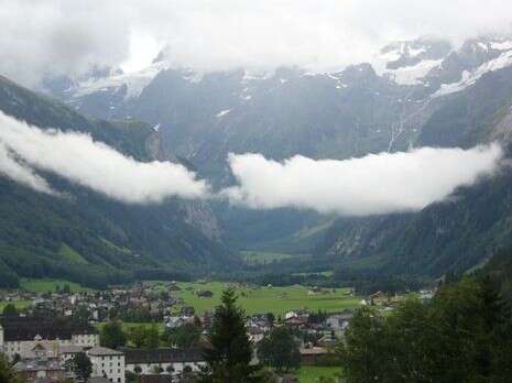 צילום: מאיר בלייך צילום: מאיר בלייך