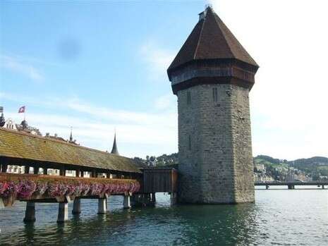 צילום: מאיר בלייך צילום: מאיר בלייך