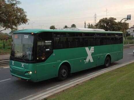 צילום: ראובן קסטרו צילום: ראובן קסטרו