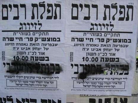 �����: ������ ������� ����� 24