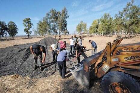 צילום: יגאל לוי צילום: יגאל לוי