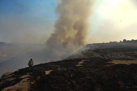 צילום: חמד אלמקת צילום: חמד אלמקת