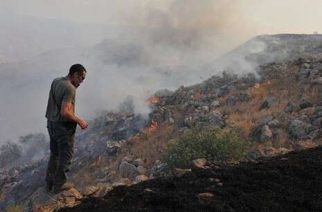 צילום: חמד אלמקת צילום: חמד אלמקת