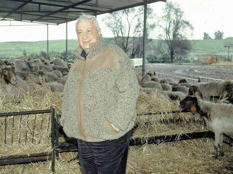 צילום: ראובן קסטרו צילום: ראובן קסטרו