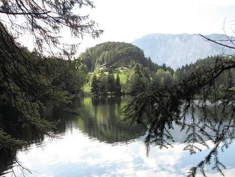 �����: ���� �����