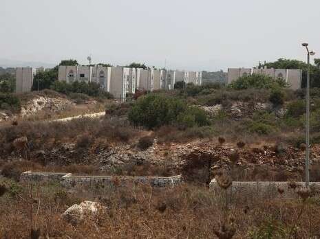 צילום ארכיון: אלכס רוזקובסקי צילום ארכיון: אלכס רוזקובסקי