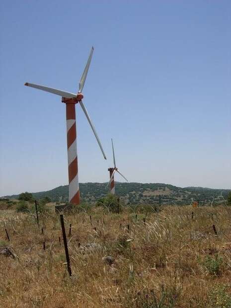צילום: מיקי צרפתי צילום: מיקי צרפתי