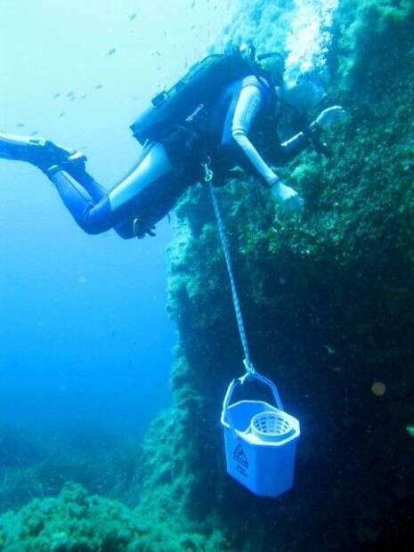 �����: ����' ��� ��������, ���������� �� ����