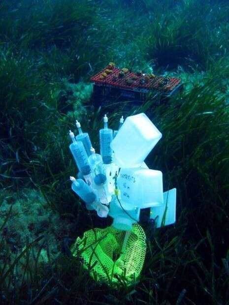 �����: ����' ��� ��������, ���������� ��-����