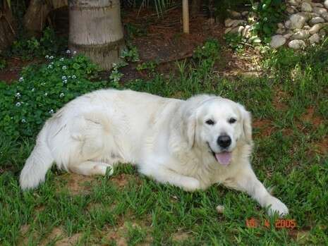 �����: ������� ����� ������