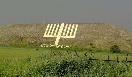 צילום: מנחם מ.מאמין צילום: מנחם מ.מאמין