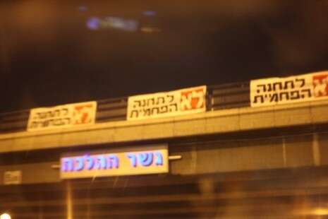 צילום: מגמה ירוקה צילום: מגמה ירוקה