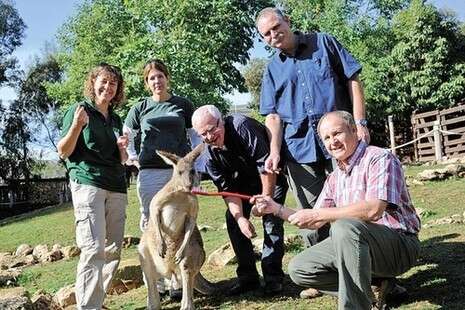 צילום באדיבות האוניברסיטה העברית ירושלים צילום באדיבות האוניברסיטה העברית ירושלים