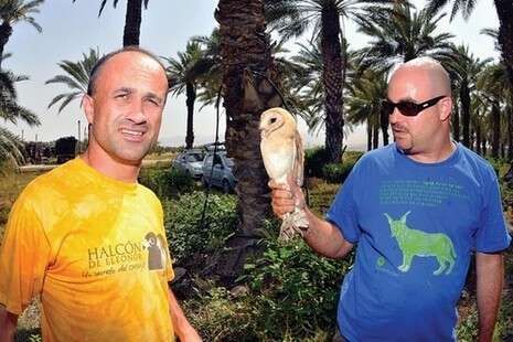 צילום: מטי צ'רטר צילום: מטי צ'רטר