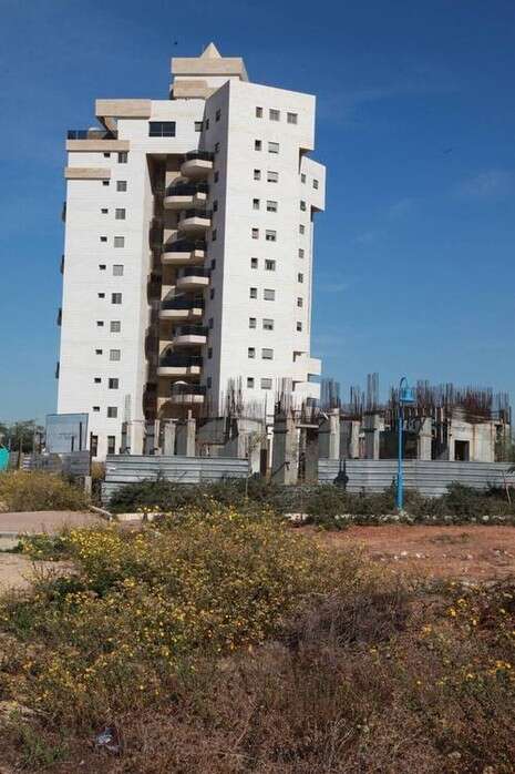 צילום: מקס ילינסון צילום: מקס ילינסון