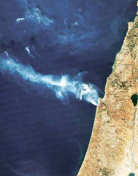 צילום: איי-פי צילום: איי-פי