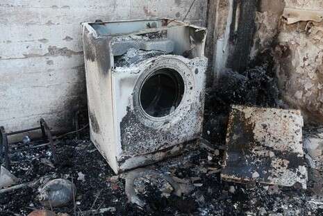 צילום: אלי דסה צילום: אלי דסה