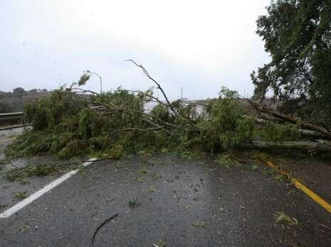 צילוםף חמד אלמקת צילוםף חמד אלמקת