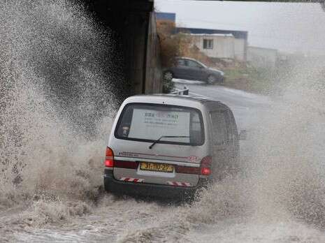 צילום: מקס ילינסון צילום: מקס ילינסון