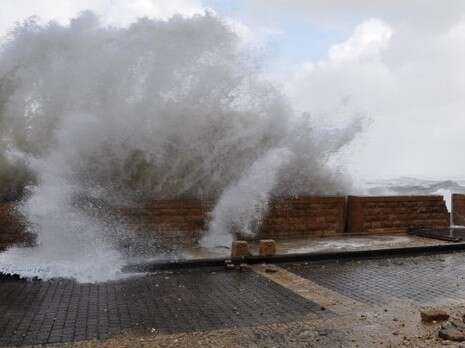 צילום: משטרת ישראל צילום: משטרת ישראל