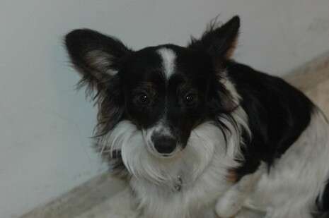 צילום: עוז בסון צילום: עוז בסון