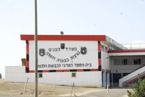 צילום: שירה זילברמן צילום: שירה זילברמן