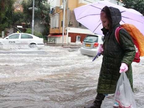 צילום: מקס ילינסון צילום: מקס ילינסון