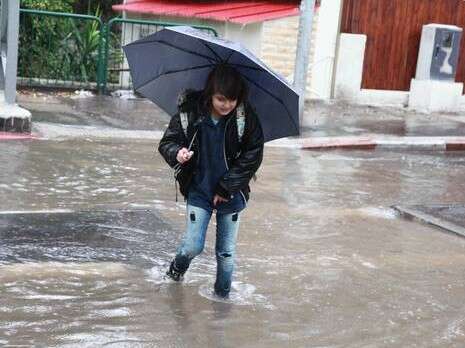 צילום: מקס ילינסון צילום: מקס ילינסון