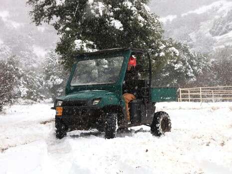 סטודיו m סטודיו m