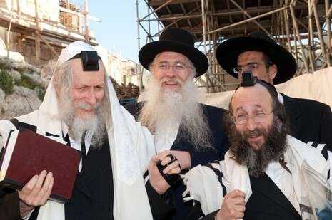 צילום: אלי סגל צילום: אלי סגל