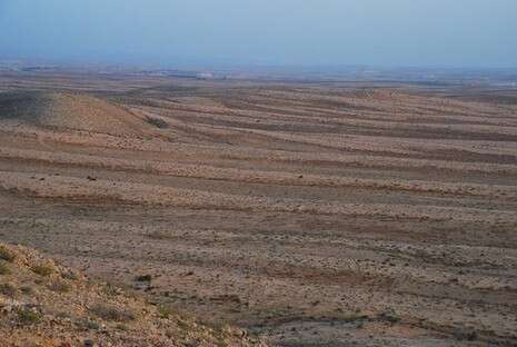 �����: ��� �����, ���� ���� ������