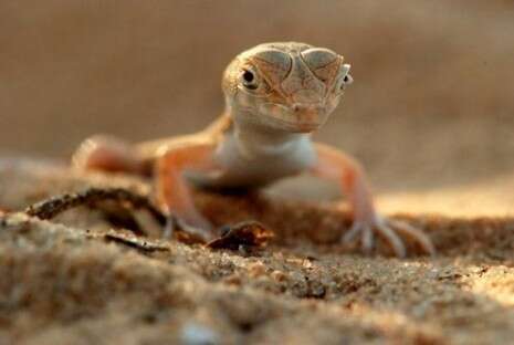 �����: ��� �����, ���� ���� ������