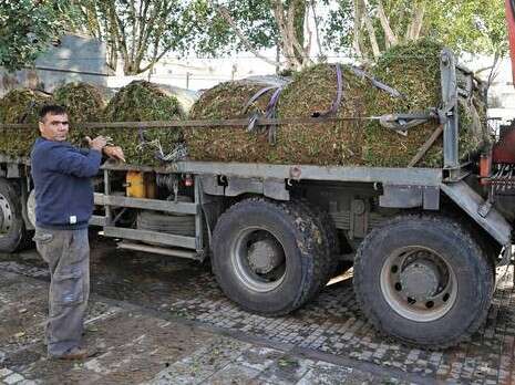 צילום: יגאל לוי צילום: יגאל לוי