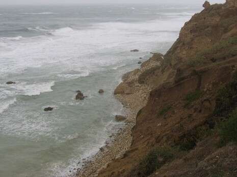 �����: ������ ������ 