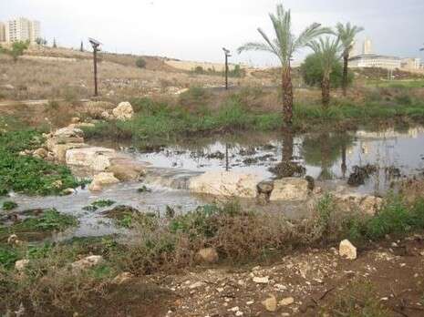 �����: ������ ������� 