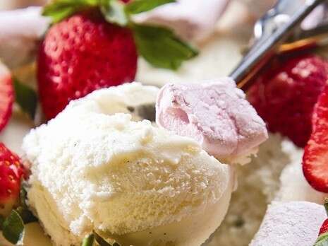 דניאל לילה דניאל לילה