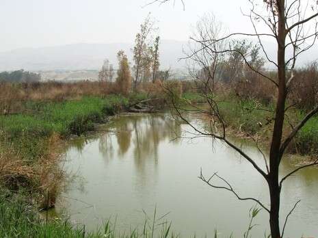 צילום באדיבות ארגון ידידי כדור הארץ צילום באדיבות ארגון ידידי כדור הארץ