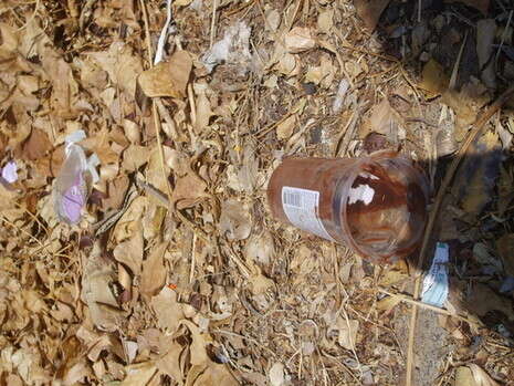 �����: ���� �����