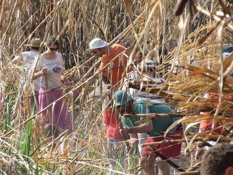 צילום באדיבות מגמה ירוקה צילום באדיבות מגמה ירוקה