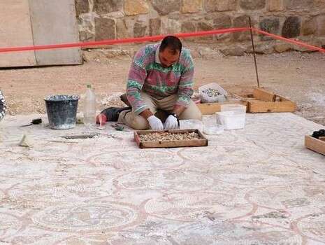 דובי זכאי דובי זכאי