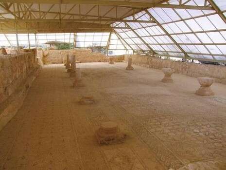 דובי זכאי דובי זכאי