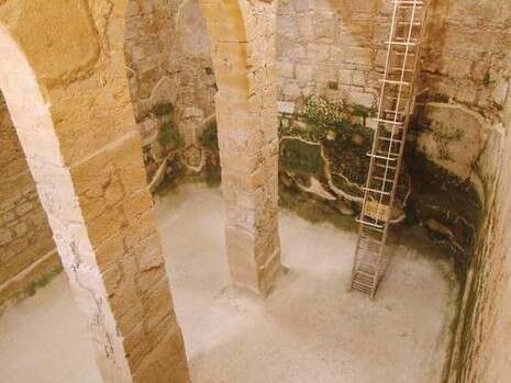 דובי זכאי דובי זכאי